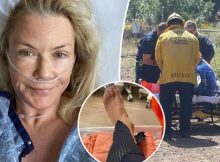 Incidente a cavallo per Katherine Kelly Lang